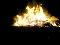Ostereuer 2007