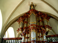 Zwillbrucker Venn 2007