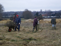 Osterwiese reinigen 2010