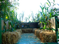 Schnatgang 2011