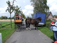 Sommerfest 2011
