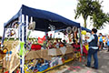 Sommerfest 2013