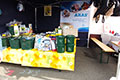 Sommerfest 2013