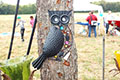 Sommerfest 2013