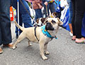Sommerfest 2013