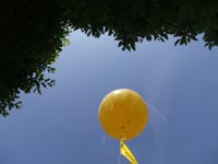 Bild-21