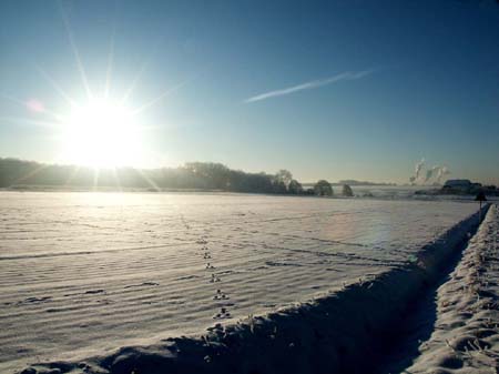 Winter 2008-2009