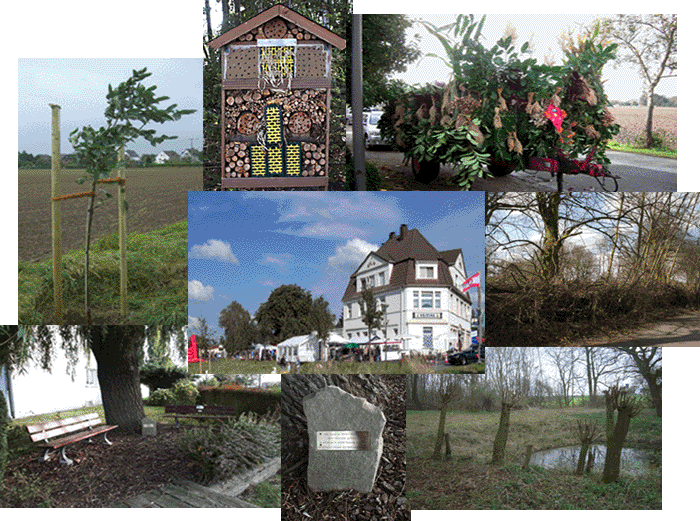 Holthausen-Mix